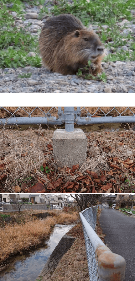 画像:宮内地域のヌートリアによる諸被害相談に対応