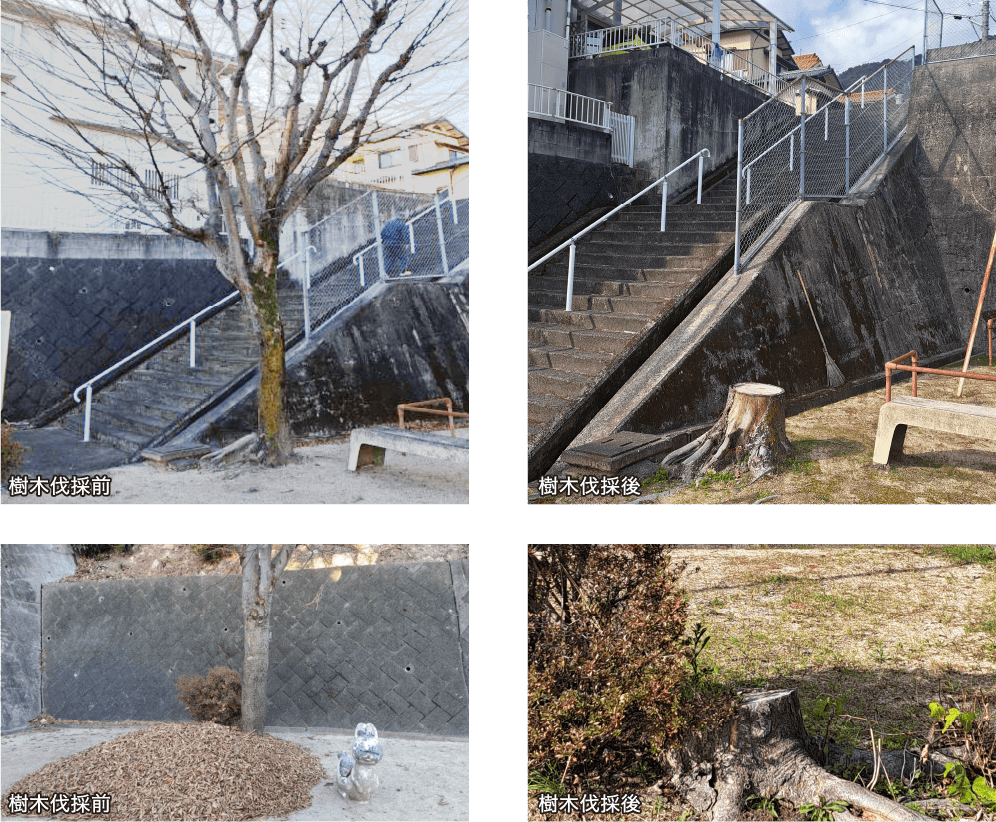 画像:樹木伐採前 樹木伐採後