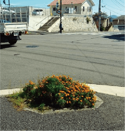 画像:大野第1区福面地域のフェンス取り換えと大木の伐採